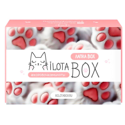 Подарочный набор MilotaBox Лапка Box iLikeGift MB135 1